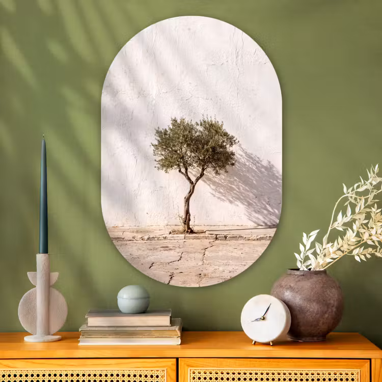 Glasbild Oval - Olivenbaum – Wand – weiß - Olijfboom - muur - wit Wandcirkel Ovaal Glas middel