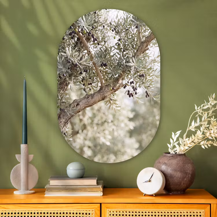 Glasbild Oval - Olivenbaum – Zweig – grün - Olijfboom - tak - groen Wandcirkel Ovaal Glas middel