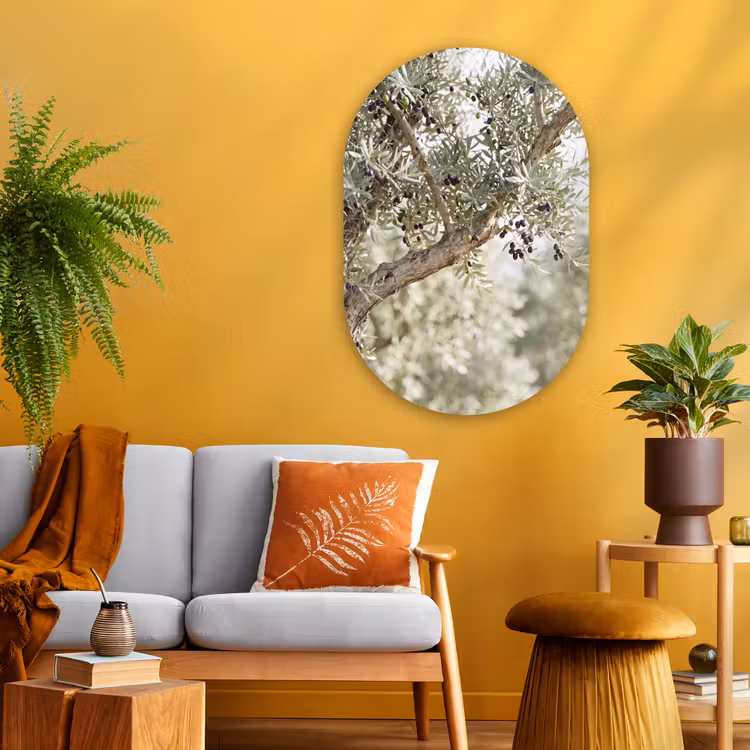 Glasbild Oval - Olivenbaum – Zweig – grün - Olijfboom - tak - groen Wandcirkel Ovaal Glas middel
