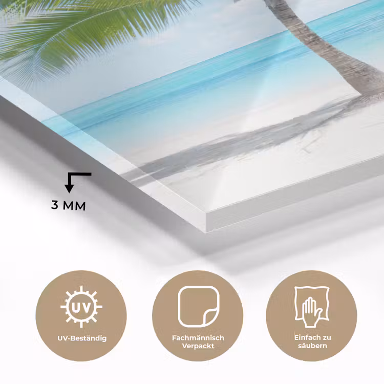 Palmboom - Strand - Zee - Zomer plexiglas 5mm klein -wsfeer2_DE