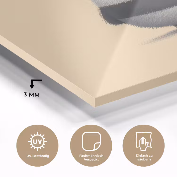 Panda - Beige - Minimalistisch plexiglas 5mm klein -wsfeer2_DE