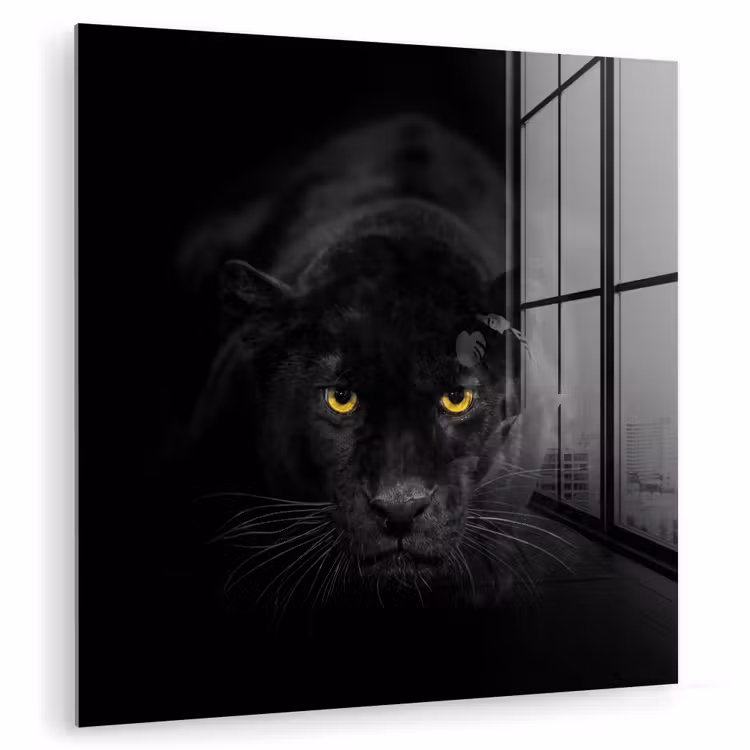 Panter - Dieren - Zwart - Ogen plexiglas 5mm klein -zzzproduct_nieuw
