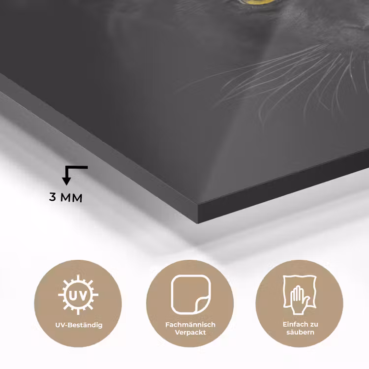 Panter - Dieren - Zwart - Ogen plexiglas 5mm klein -wsfeer2_DE
