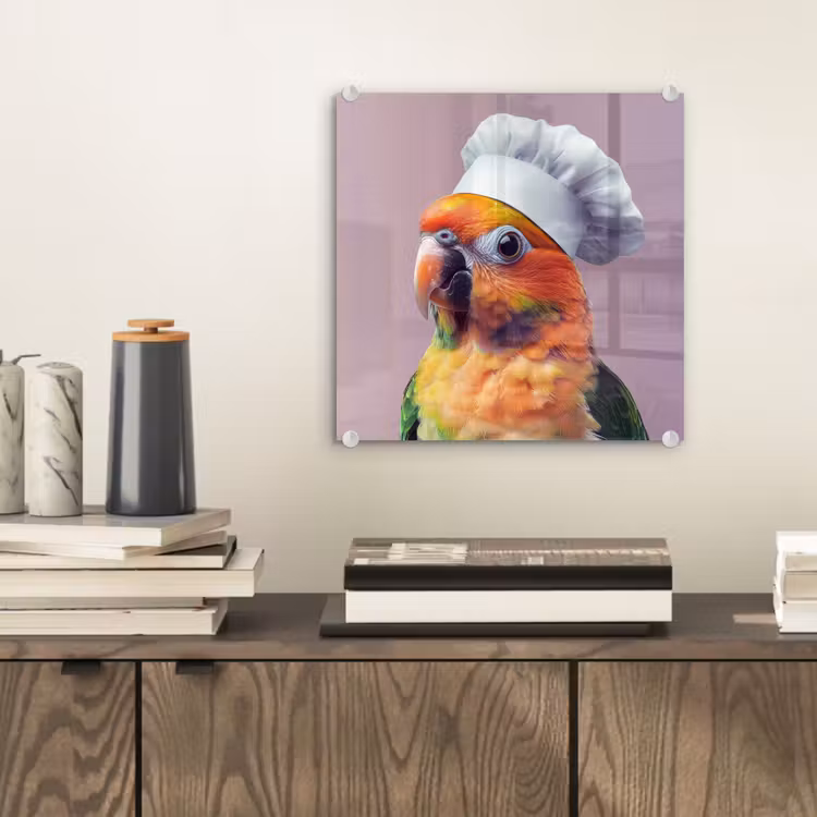 Papegaai - Koksmuts - Nieuwsgierig - Vogel plexiglas 5mm klein -sfeer1