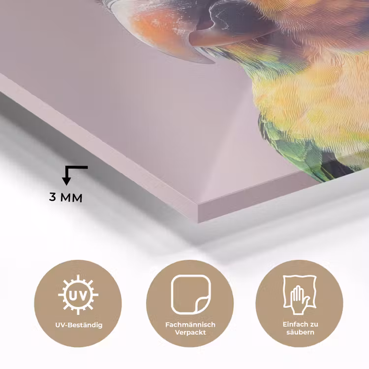 Papegaai - Koksmuts - Nieuwsgierig - Vogel plexiglas 5mm klein -wsfeer2_DE