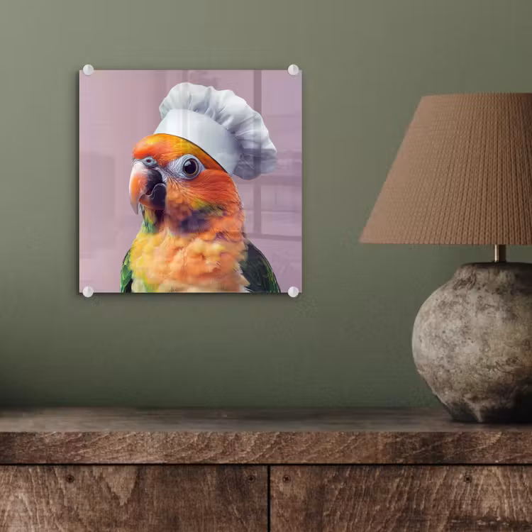 Papegaai - Koksmuts - Nieuwsgierig - Vogel plexiglas 5mm klein -sfeer3