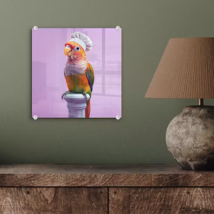 Papegaai - Koksmuts - Pilaar - Vogel plexiglas 5mm klein -sfeer3