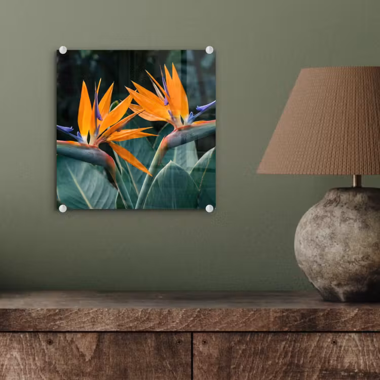 Paradijsvogel - Bloem - Exotisch plexiglas 5mm klein -sfeer3