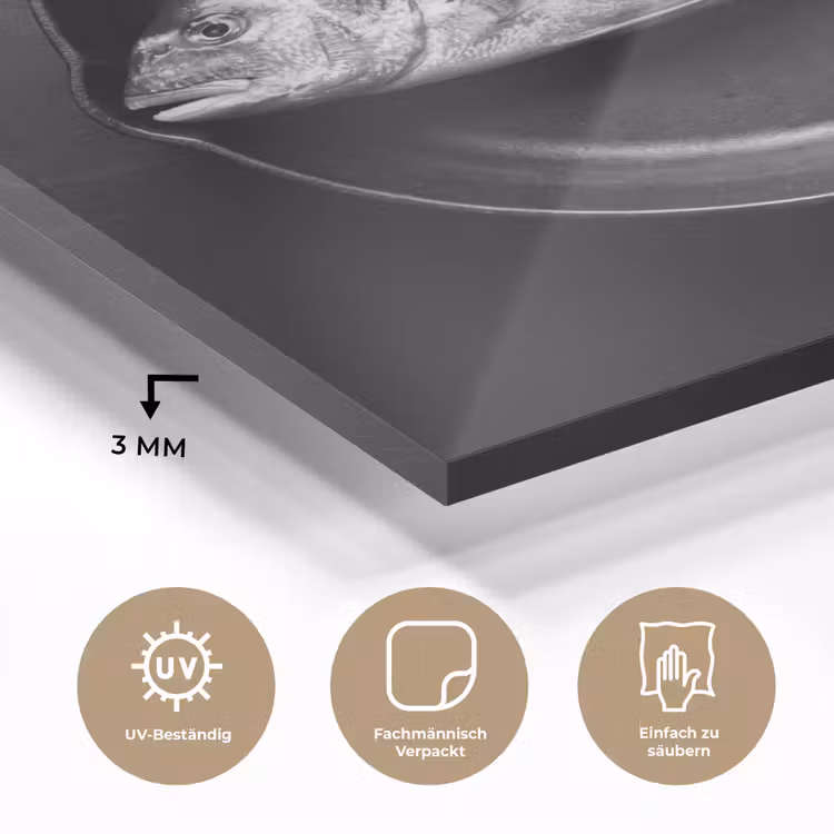 Pan - Vis - Zwart - Wit plexiglas 5mm klein -wsfeer2_DE