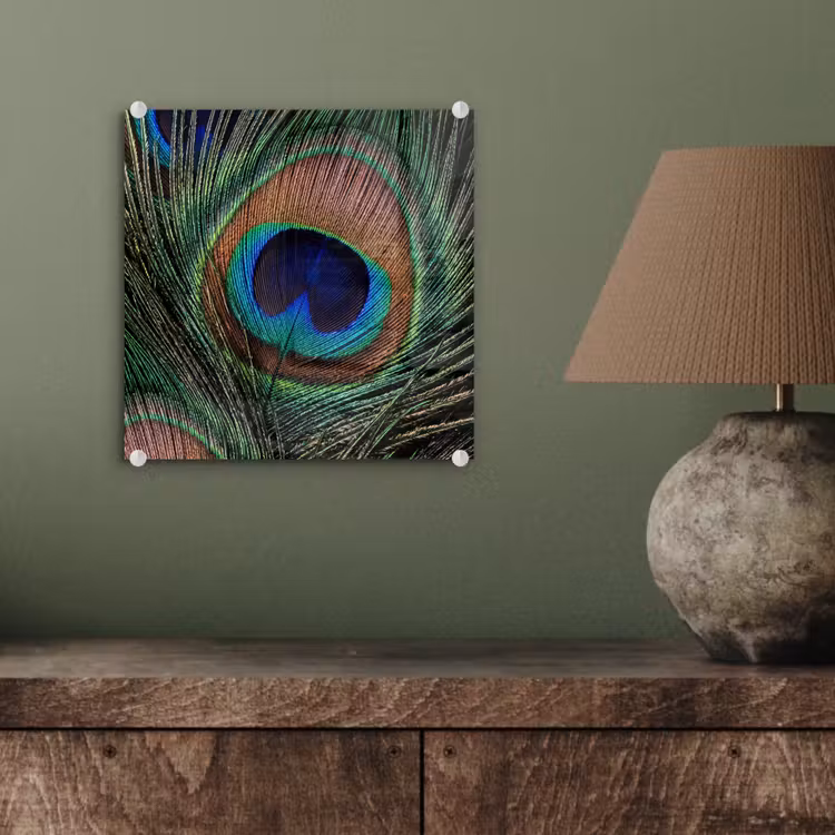 Pauwenveren - Klassiek - Groen plexiglas 5mm klein -sfeer3