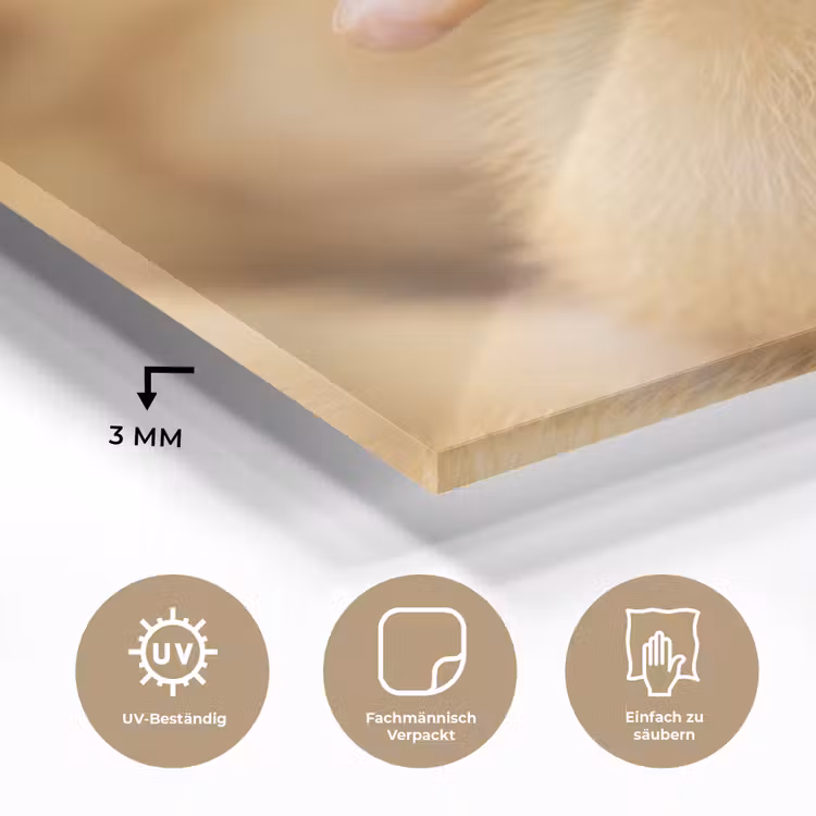 Pijltje - Eend - Natuur - Geel plexiglas 5mm klein -wsfeer2_DE