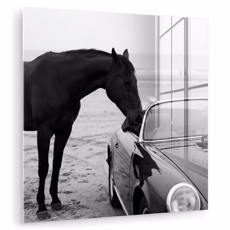 Paard - Auto - Zwart - Wit plexiglas 5mm klein -zzzproduct_nieuw