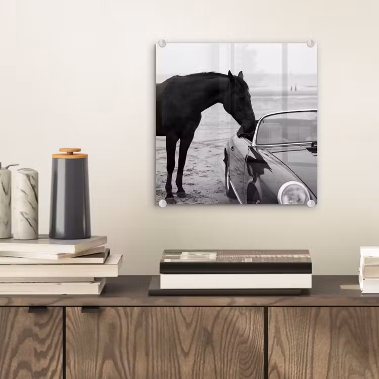 Paard - Auto - Zwart - Wit plexiglas 5mm klein -sfeer1