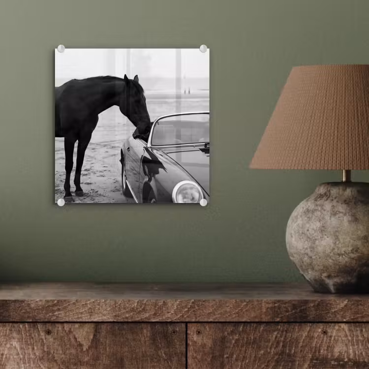 Paard - Auto - Zwart - Wit plexiglas 5mm klein -sfeer3