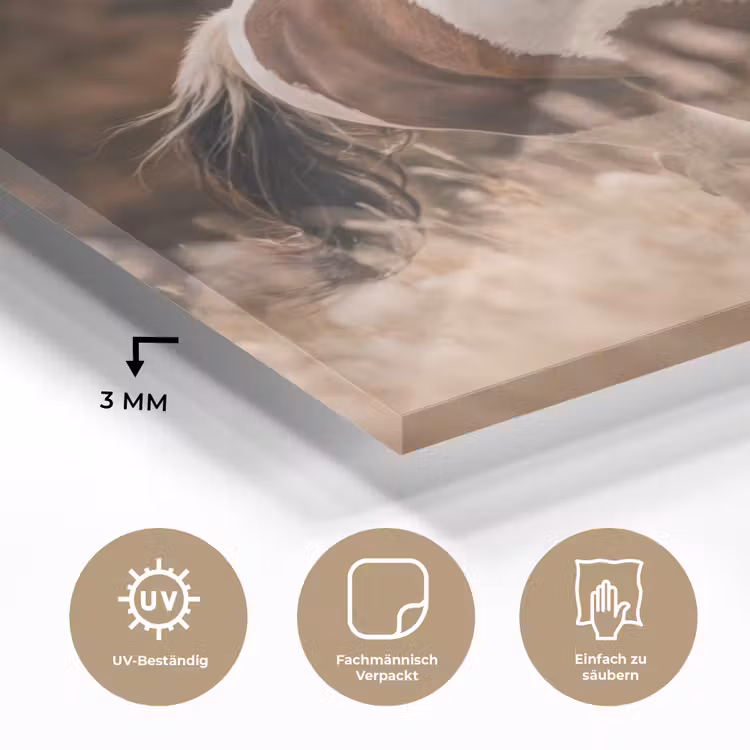 Paard - Bruin - Gras plexiglas 5mm klein -wsfeer2_DE