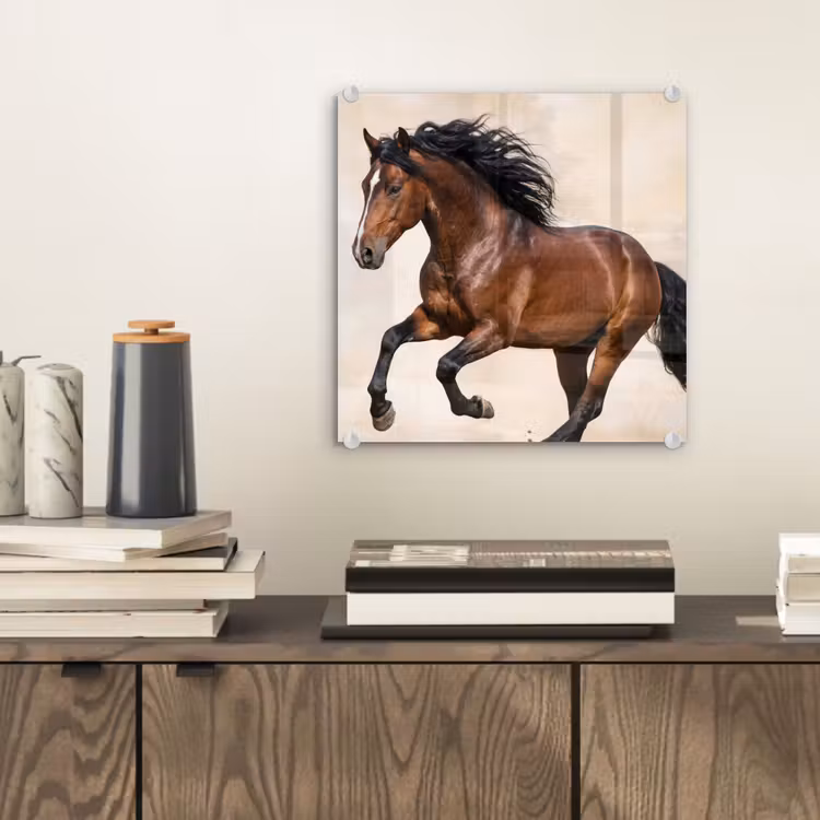 Paard - Galop - Energie plexiglas 5mm klein -sfeer1