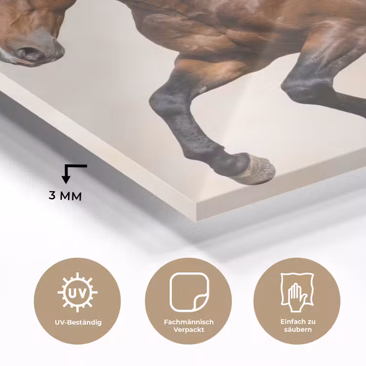 Paard - Galop - Energie plexiglas 5mm klein -wsfeer2_DE