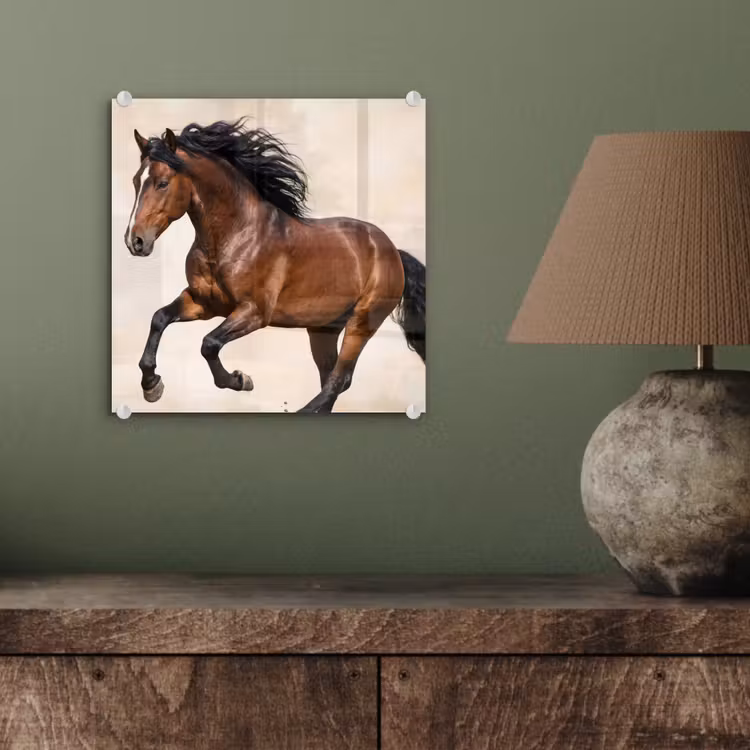 Paard - Galop - Energie plexiglas 5mm klein -sfeer3