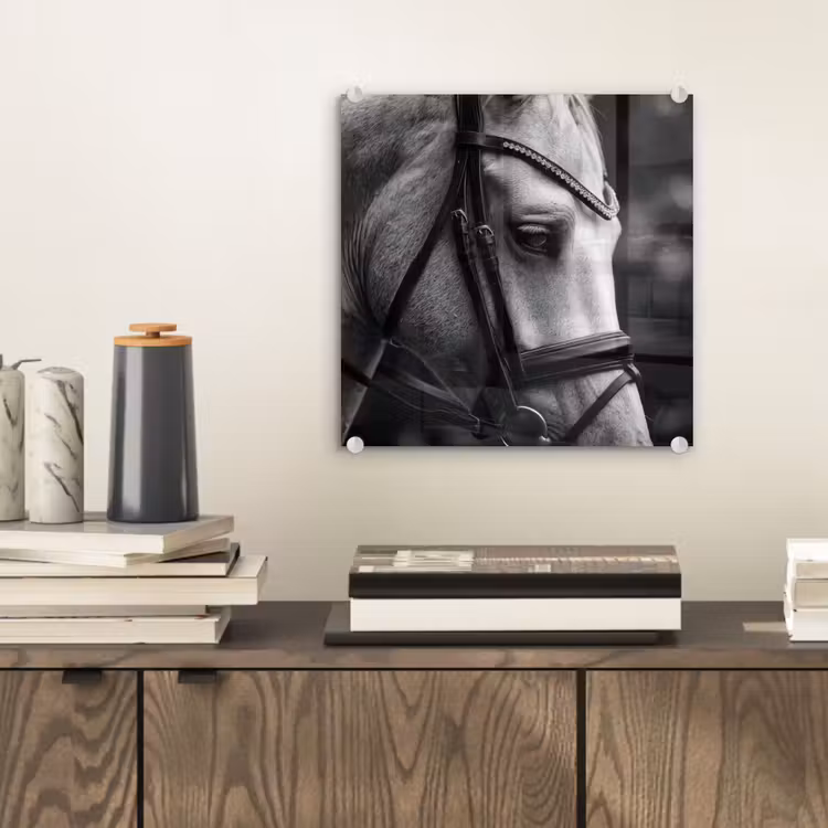 Paard - Schimmel - Portret plexiglas 5mm klein -sfeer1