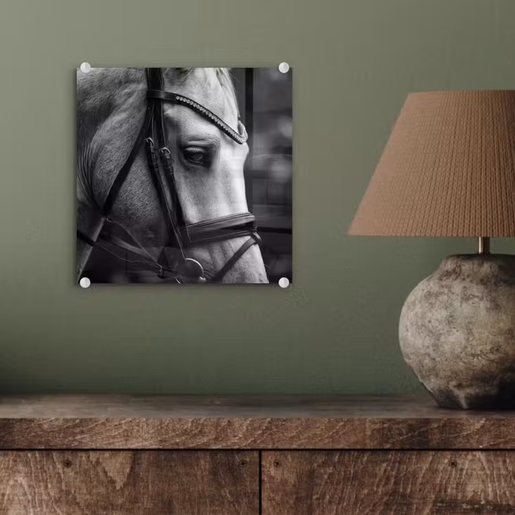 Paard - Schimmel - Portret plexiglas 5mm klein -sfeer3