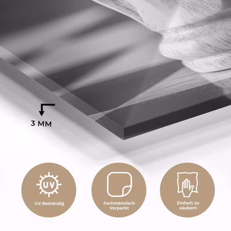 Paard - Hout - Schaalbord - Zwart plexiglas 5mm klein -wsfeer2_DE