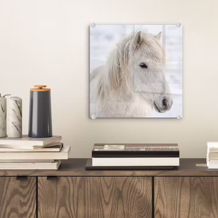 Paard - Kop - Winter - Dieren - Wit plexiglas 5mm klein -sfeer1