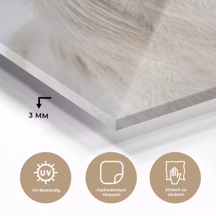 Paard - Kop - Winter - Dieren - Wit plexiglas 5mm klein -wsfeer2_DE