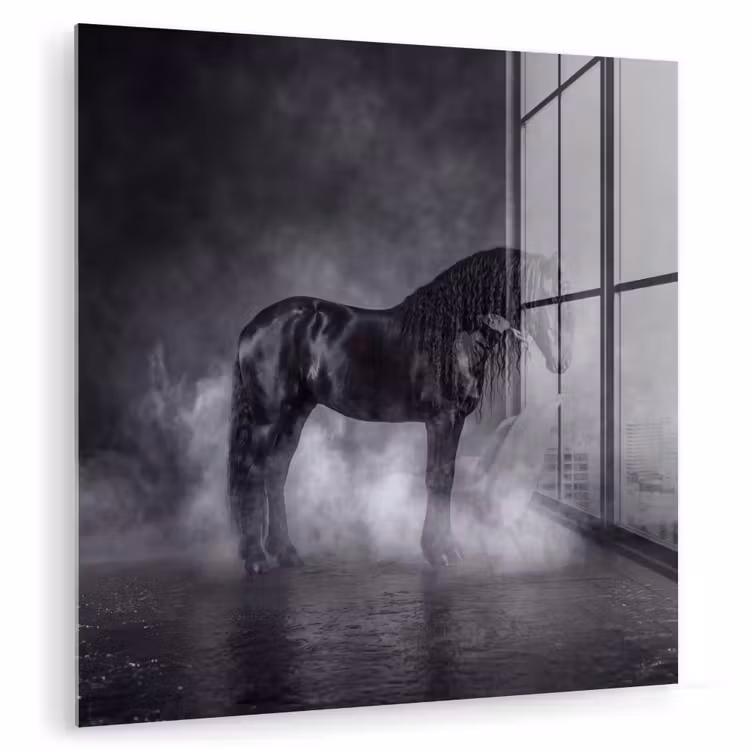 Paard - Magisch - Zwart plexiglas 5mm klein -zzzproduct_nieuw
