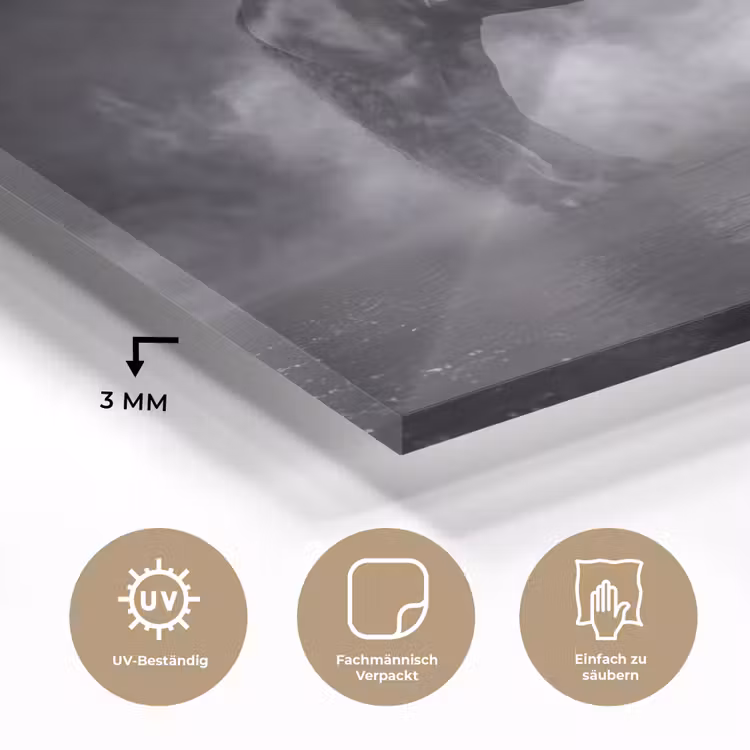 Paard - Magisch - Zwart plexiglas 5mm klein -wsfeer2_DE