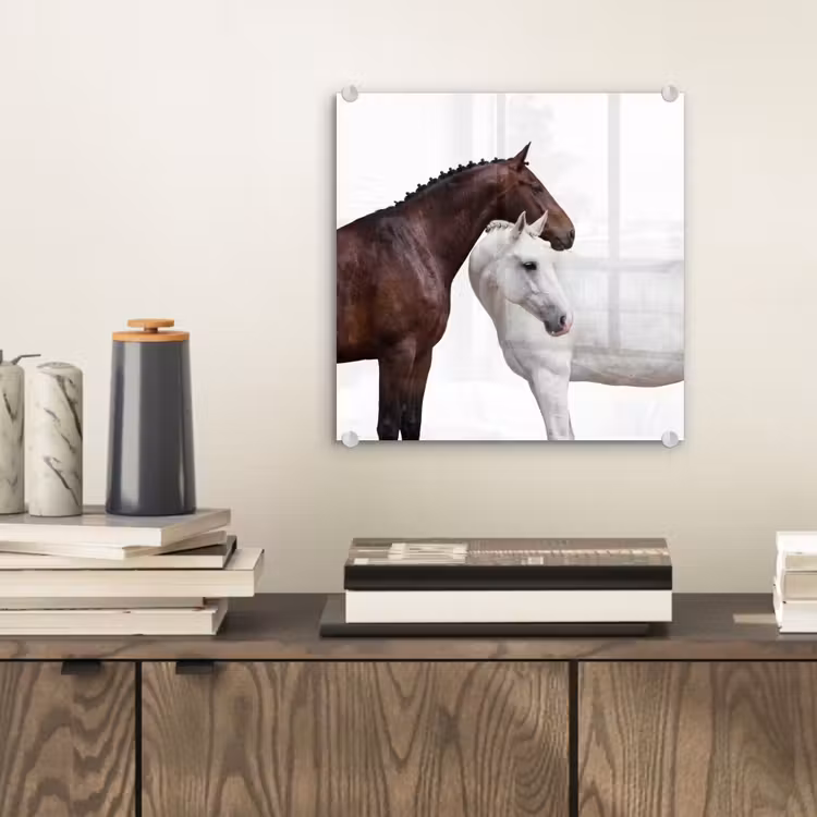 Paard - Modern - Balans plexiglas 5mm klein -sfeer1