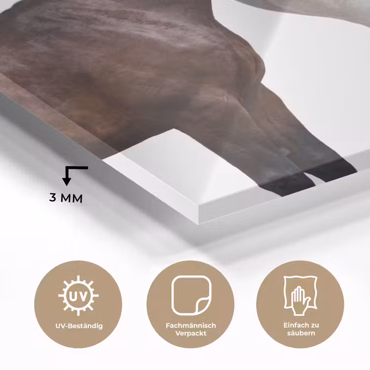 Paard - Modern - Balans plexiglas 5mm klein -wsfeer2_DE