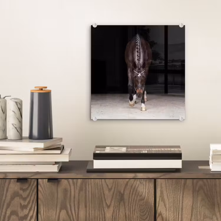 Paard - Modern - Portret plexiglas 5mm klein -sfeer1