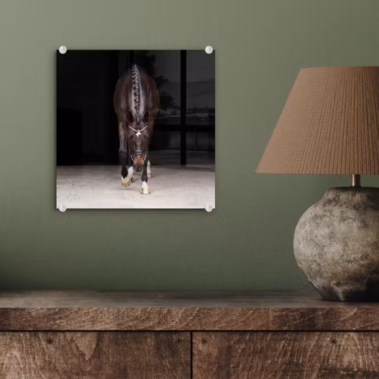 Paard - Modern - Portret plexiglas 5mm klein -sfeer3