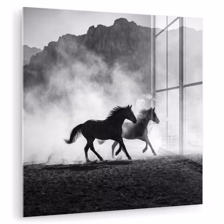 Paard - Ren - Stof - Zwart-wit - Dieren plexiglas 5mm klein -zzzproduct_nieuw
