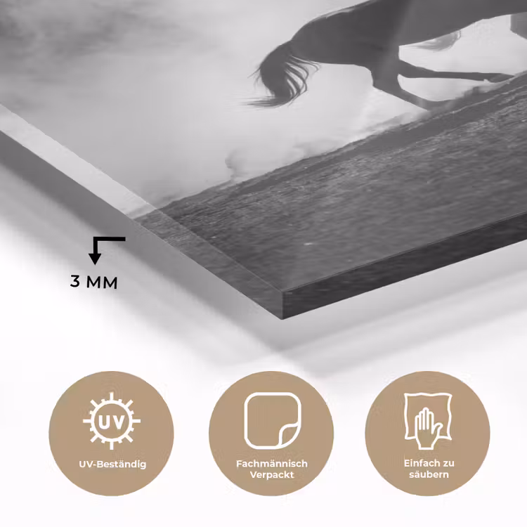 Paard - Ren - Stof - Zwart-wit - Dieren plexiglas 5mm klein -wsfeer2_DE