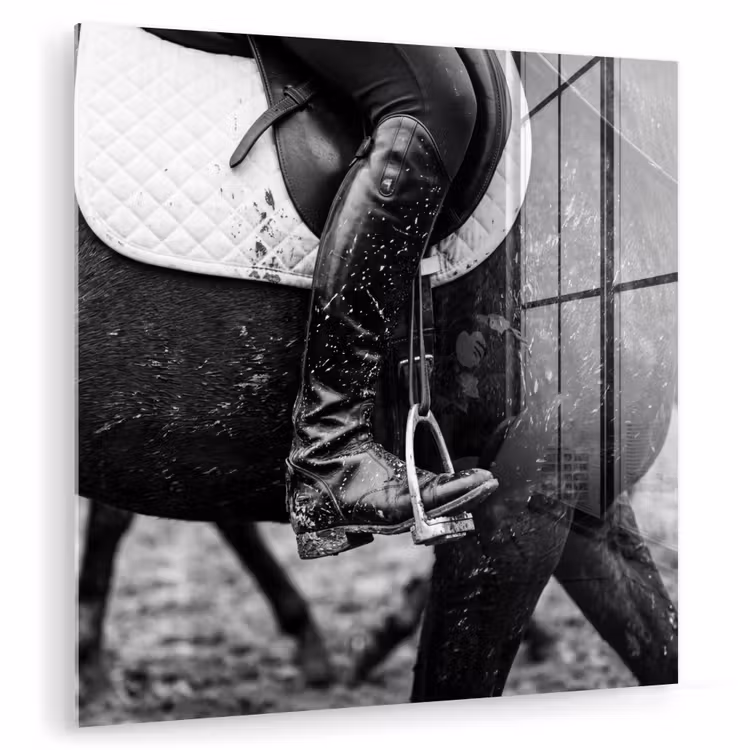 Paard - Sport - Zwart - Wit plexiglas 5mm klein -zzzproduct_nieuw