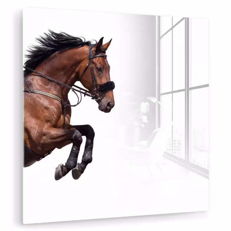 Paard - Springen - Modern plexiglas 5mm klein -zzzproduct_nieuw