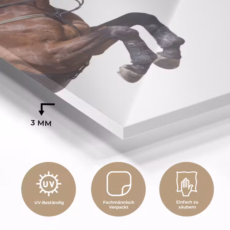 Paard - Springen - Modern plexiglas 5mm klein -wsfeer2_DE