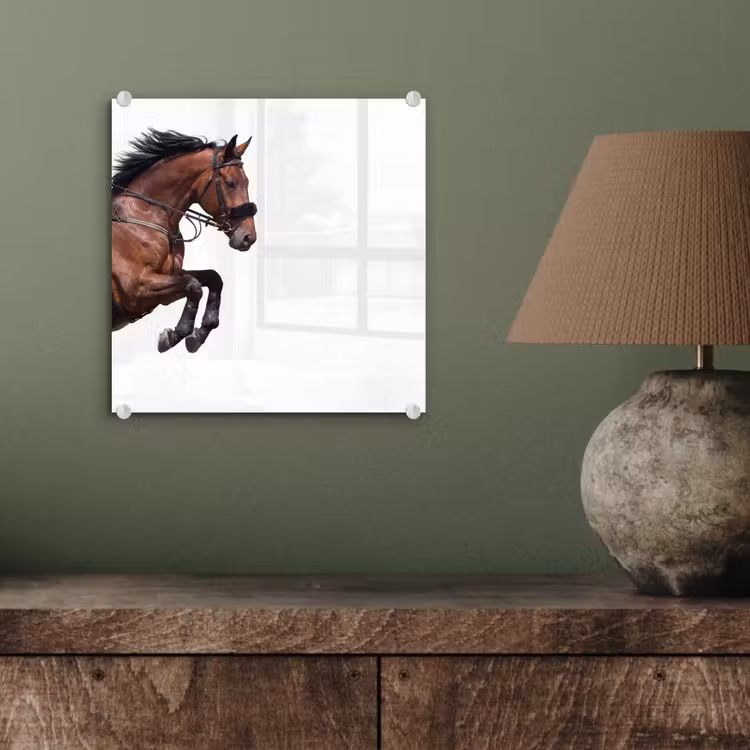 Paard - Springen - Modern plexiglas 5mm klein -sfeer3