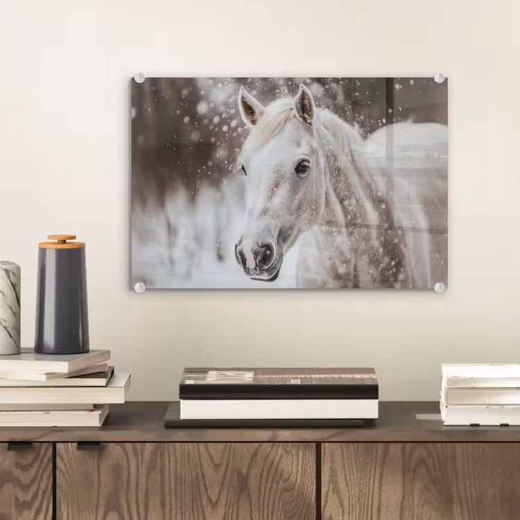 Paard - Wit - Winter - Natuur - Sneeuw - Dieren plexiglas 5mm klein -sfeer1