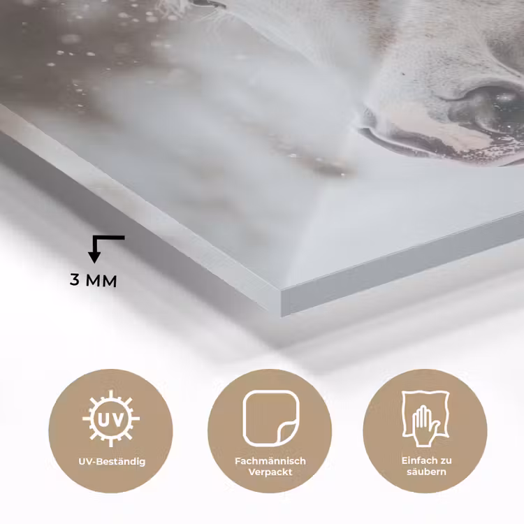 Paard - Wit - Winter - Natuur - Sneeuw - Dieren plexiglas 5mm klein -wsfeer2_DE