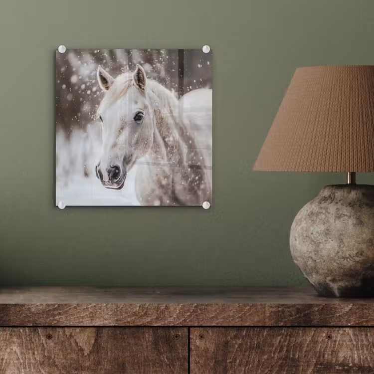 Paard - Wit - Winter - Natuur - Sneeuw - Dieren plexiglas 5mm klein -sfeer3