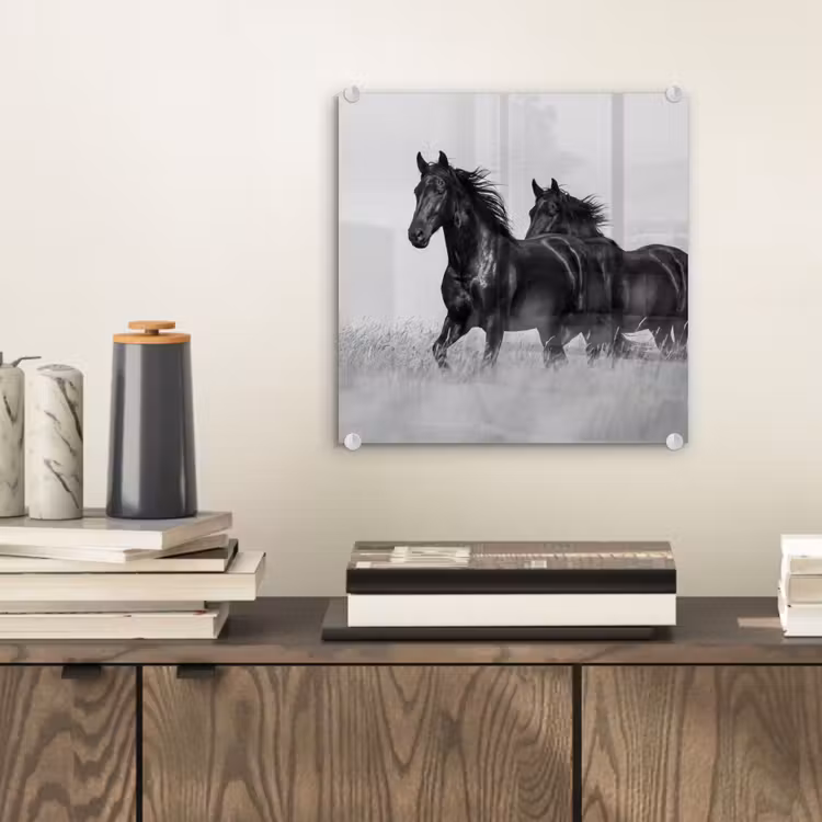 Paarden - Gras - Zwart - Wit plexiglas 5mm klein -sfeer1
