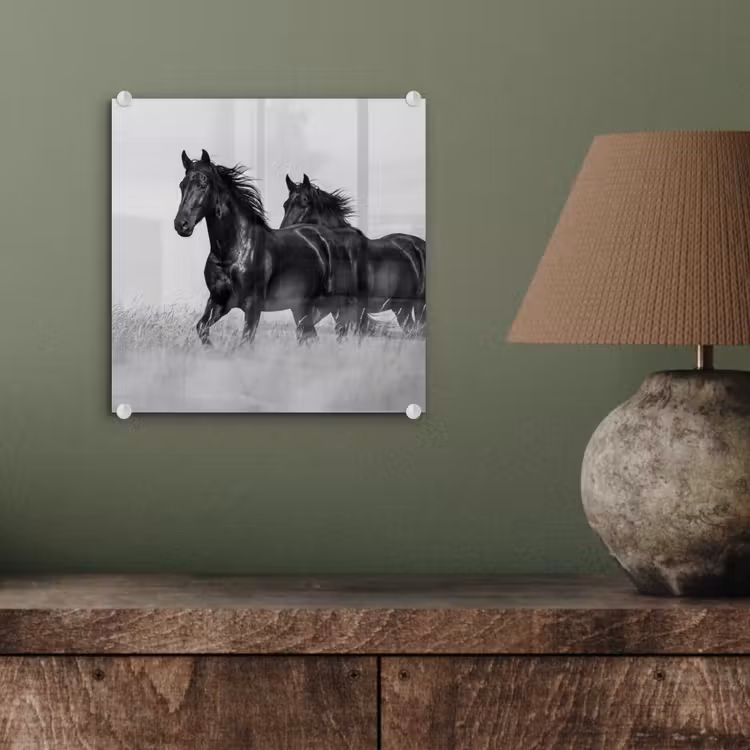 Paarden - Gras - Zwart - Wit plexiglas 5mm klein -sfeer3