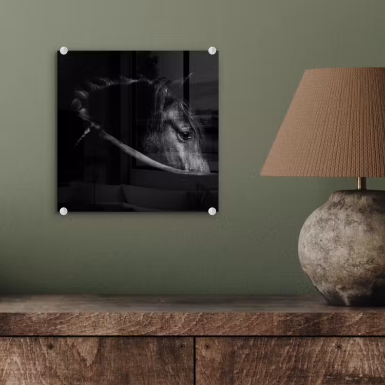 Paarden - Portret - Zwart - Dieren plexiglas 5mm klein -sfeer3