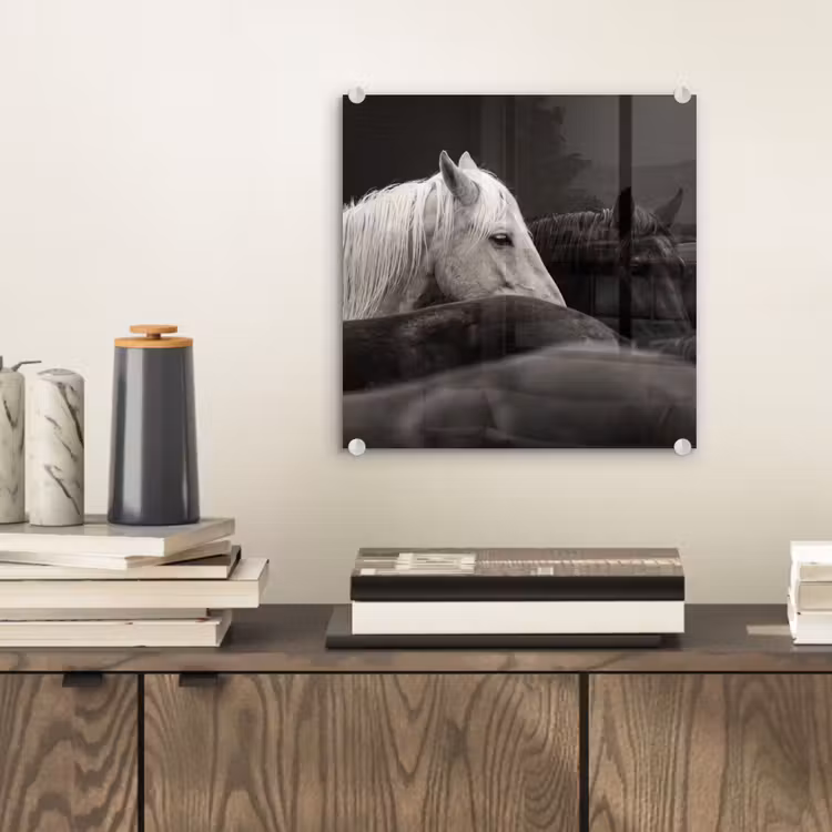 Paarden - Zwart - Wit - Kudde plexiglas 5mm klein -sfeer1