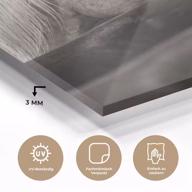 Paarden - Zwart - Wit - Kudde plexiglas 5mm klein -wsfeer2_DE
