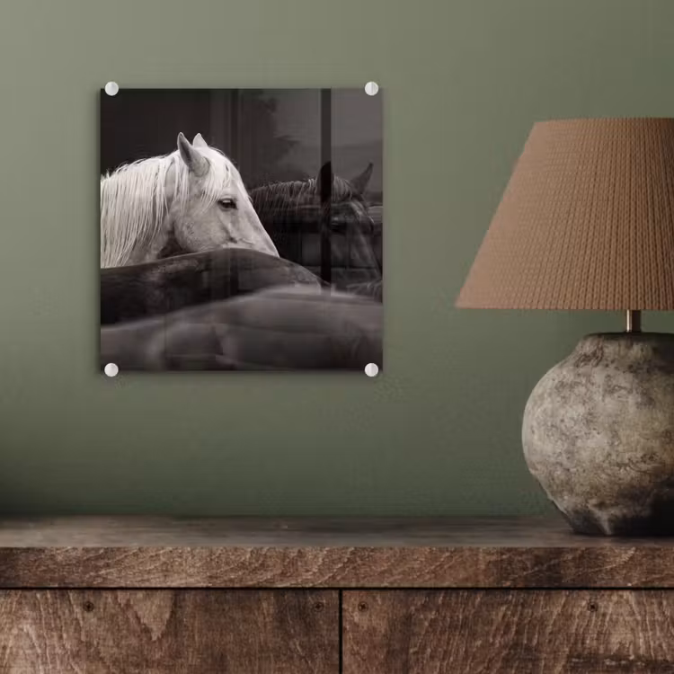Paarden - Zwart - Wit - Kudde plexiglas 5mm klein -sfeer3