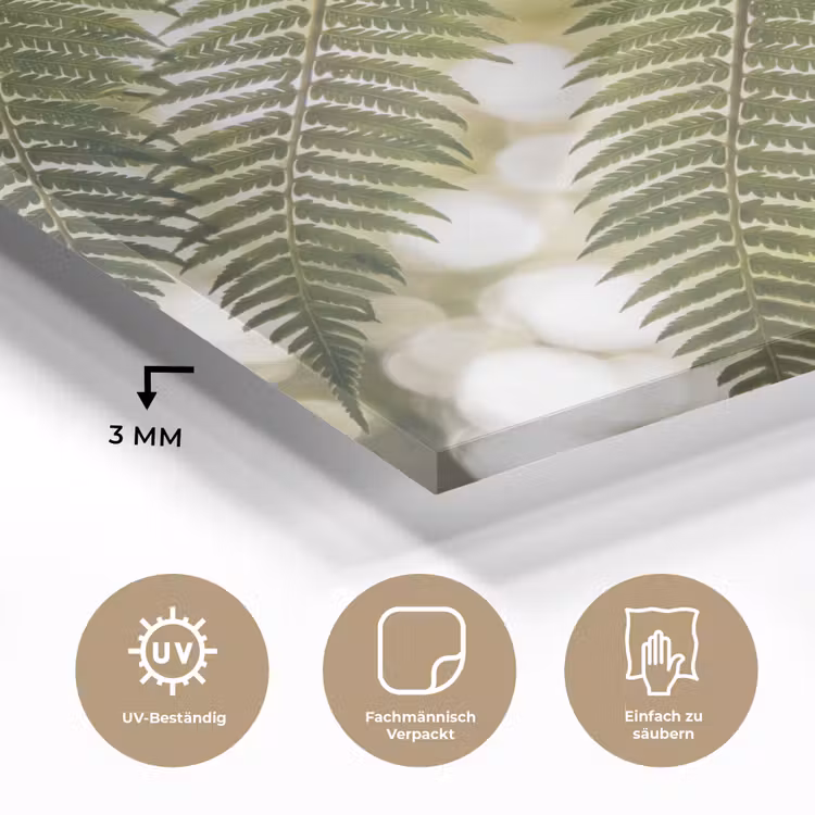 Plant - Blad - Natuur - Groen - Detail plexiglas 5mm klein -wsfeer2_DE