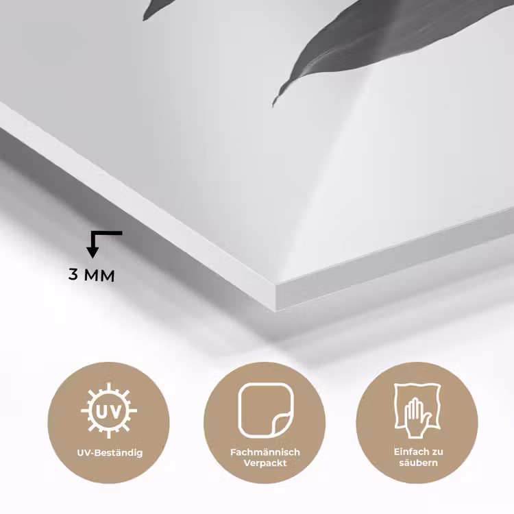 Plant - Bladeren - Minimalistisch - Zwart plexiglas 5mm klein -wsfeer2_DE